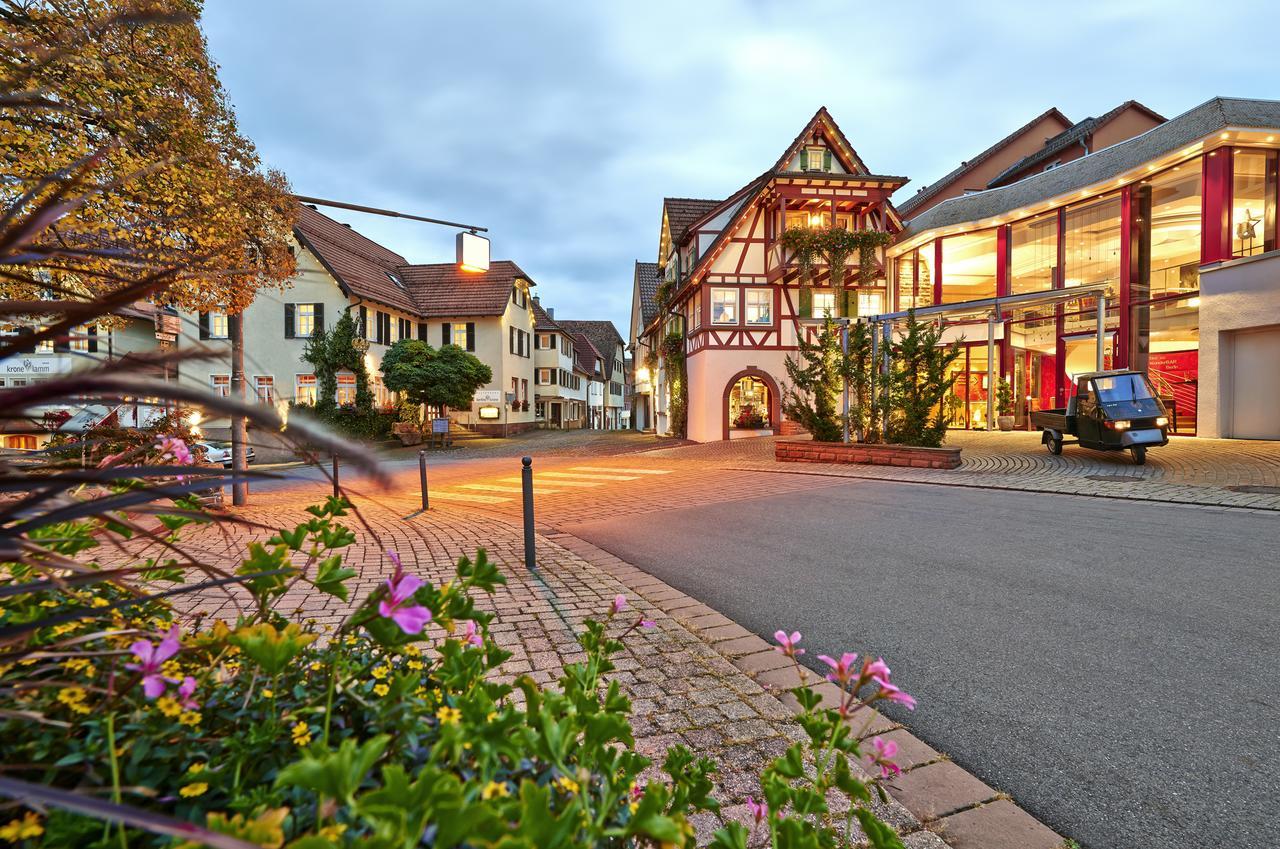 Hotel Kronelamm Im Schwarzwald